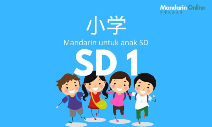 Online course mandarin