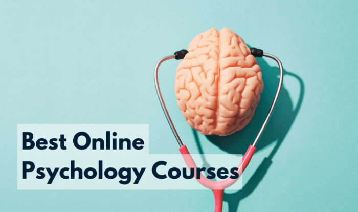 Online Course on Psychology A Comprehensive Guide