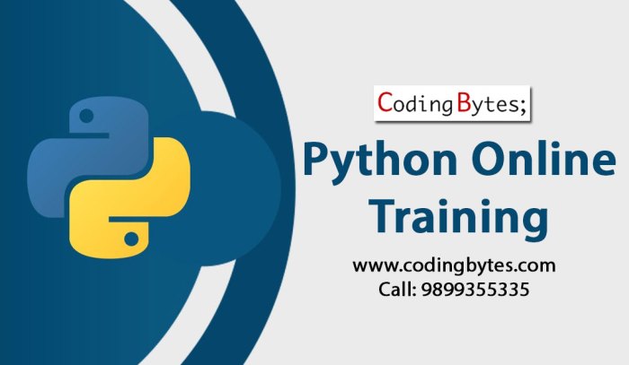 Online Course Python A Comprehensive Guide