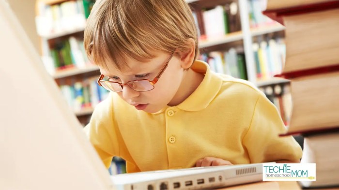 Online Course for Kids A Comprehensive Guide