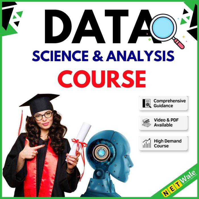 Online Course Data Analyst Training