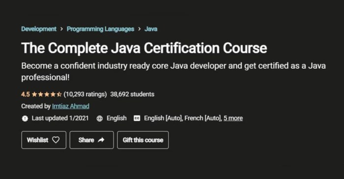 Online course java